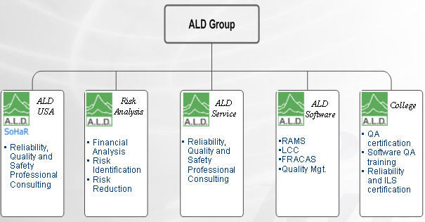 Company Structure