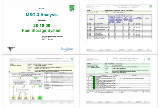 MSG-3 Sample Report MSG-3 Sample Report